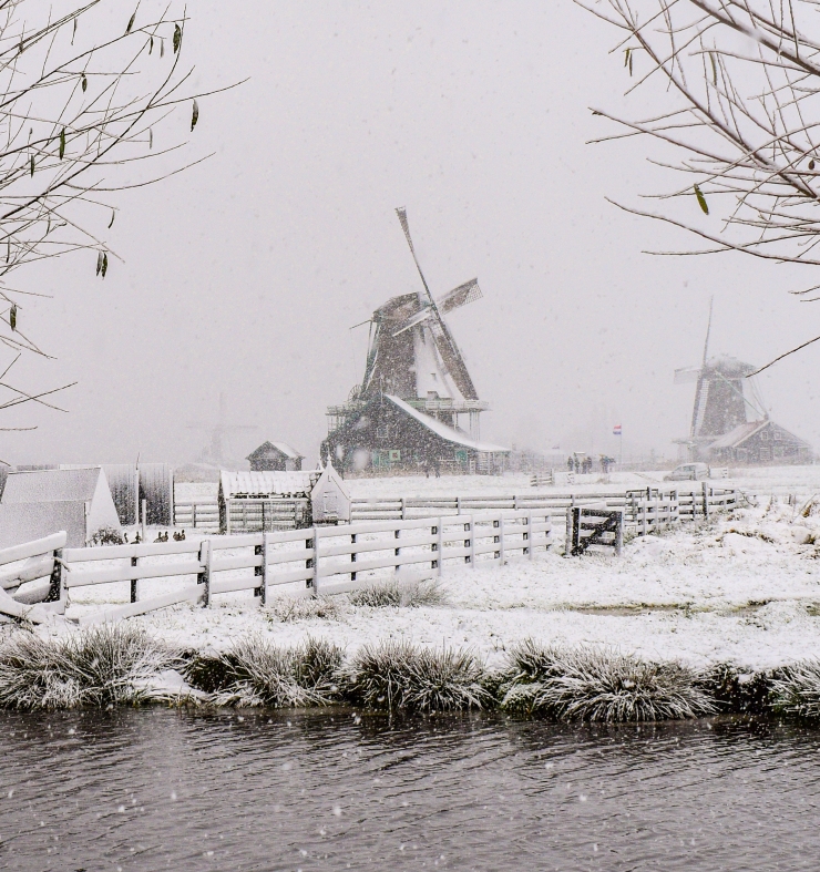 Winter landscape with windmills and snow at Zaanse Schans